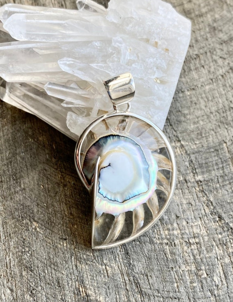 Nautilus Shell  Clear Resin Mother of Pearl  Pendant