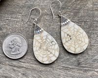 Cool Webb Shell 925 Silver Handmade Earrings - Crystal Healing Meditation