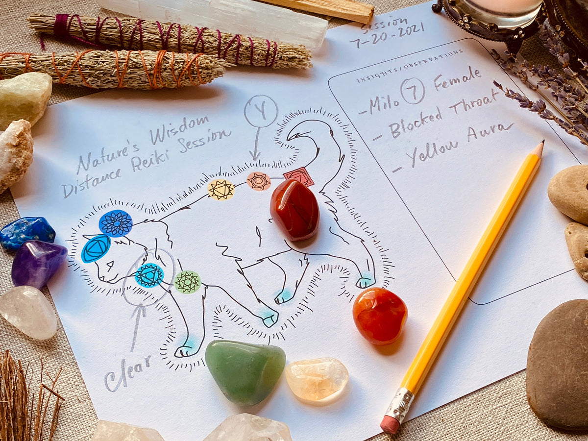Cat Animal Distance Reiki Chakra Healing Board Printable Template - Crystal Healing Meditation DIGITAL FILE