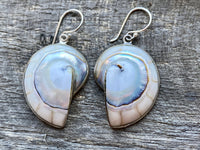 Nautilus Shell with Mother of Pearl and White Resin 925 Silver Handmade Earrings - Crystal Healing Meditation