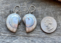 Nautilus Shell with Mother of Pearl and White Resin 925 Silver Handmade Earrings - Crystal Healing Meditation