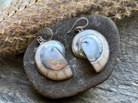 Nautilus Shell with Mother of Pearl and White Resin 925 Silver Handmade Earrings - Crystal Healing Meditation