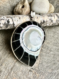 Nautilus Shaped Mother of Pearl with Black resin 925 Silver Pendant - Crystal Healing Pendant