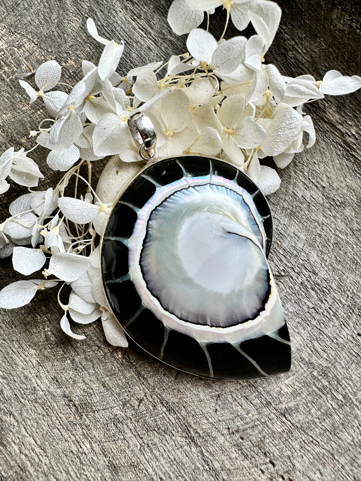 Nautilus Shaped Mother of Pearl with Black resin 925 Silver Pendant - Crystal Healing Pendant