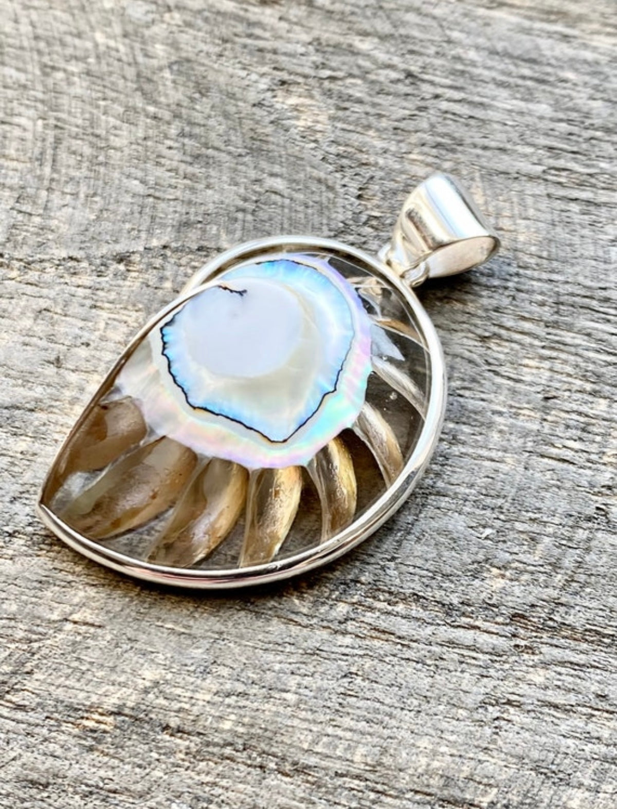 Nautilus Shell  Clear Resin Mother of Pearl  Pendant