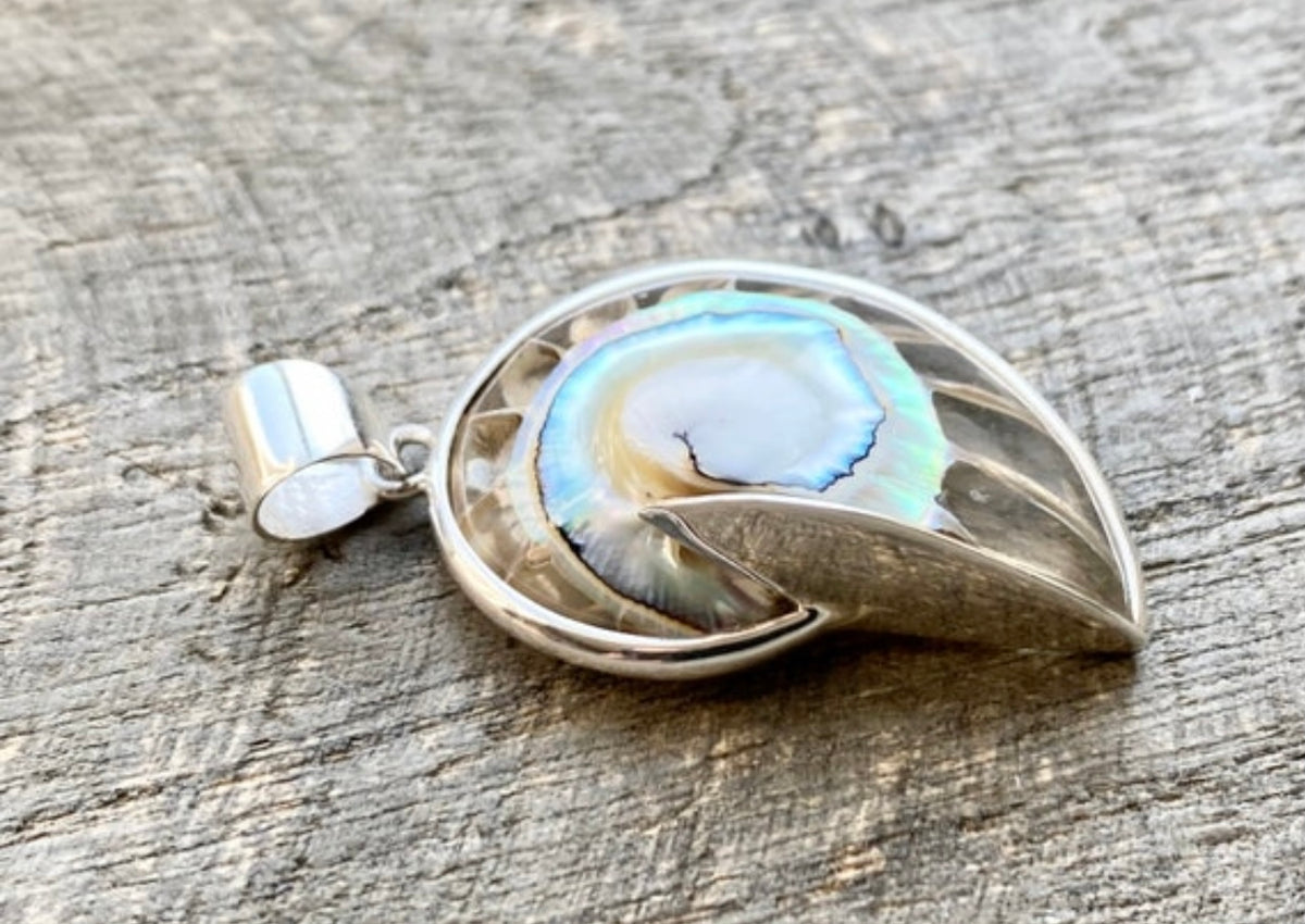 Nautilus Shell  Clear Resin Mother of Pearl  Pendant