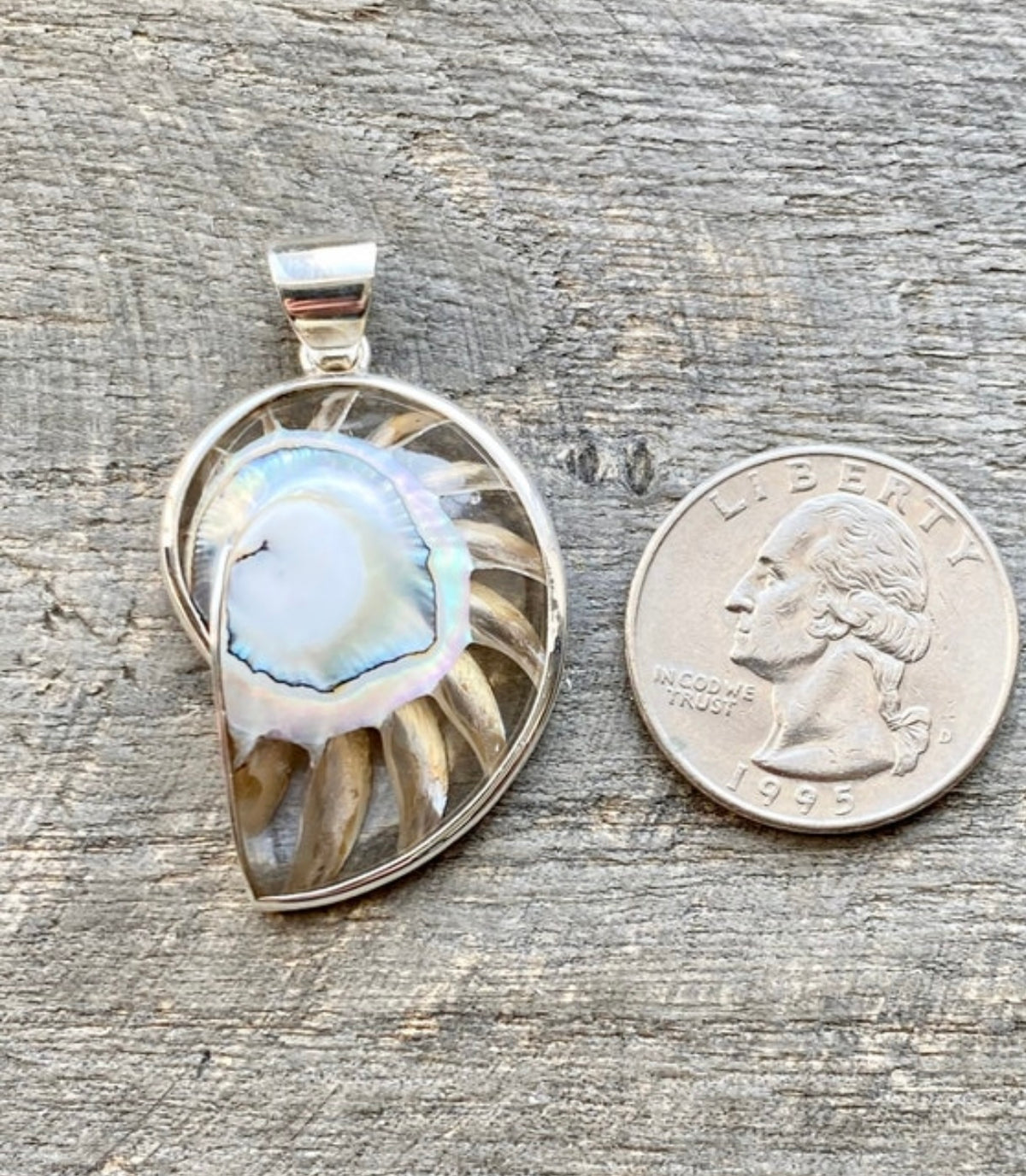 Nautilus Shell  Clear Resin Mother of Pearl  Pendant