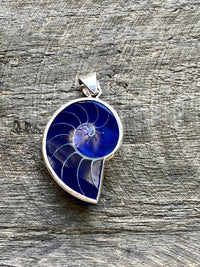 Nautilus Shaped Blue Resin Mother of Pearl 925 Silver Pendant - Crystal Healing Pendant